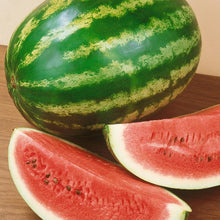 Load image into Gallery viewer, Crimson Sweet Watermelon Seeds (Organic)