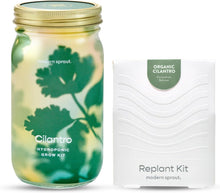 Load image into Gallery viewer, Garden Jars - Organic Herbs