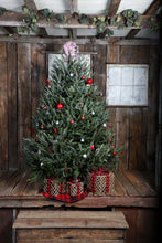 Load image into Gallery viewer, Fresh Cut Christmas Trees