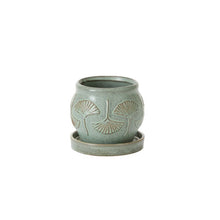 Load image into Gallery viewer, IP Biloba Pot w/Saucer