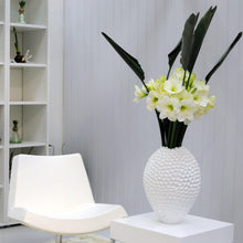 Load image into Gallery viewer, Amaryllis - White Christmas