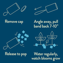 Load image into Gallery viewer, Seed Confetti Popper