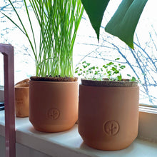 Load image into Gallery viewer, Pet Tiny Terracotta Grow Kits