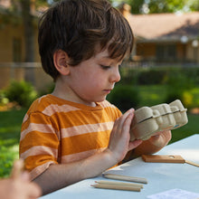 Load image into Gallery viewer, Curious Critters Garden Kits