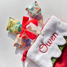 Load image into Gallery viewer, Seed Pops - Pollinator