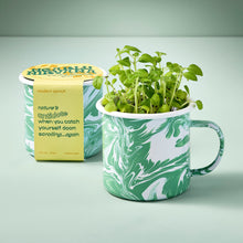 Load image into Gallery viewer, Altered Herb Mug Grow Kits