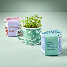 Load image into Gallery viewer, Altered Herb Mug Grow Kits