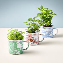 Load image into Gallery viewer, Altered Herb Mug Grow Kits