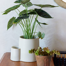 Load image into Gallery viewer, Ember Earth Candle + Planter