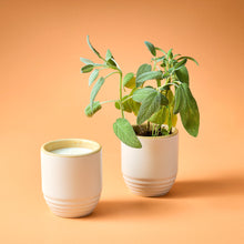 Load image into Gallery viewer, Garden Vibes Candle/Planter 2-in-1