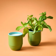 Load image into Gallery viewer, Garden Vibes Candle/Planter 2-in-1
