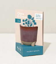 Load image into Gallery viewer, Glow & Grow Kits
