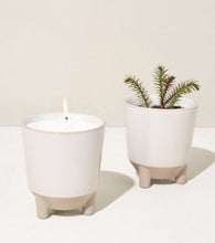 Load image into Gallery viewer, Glow & Grow Kits