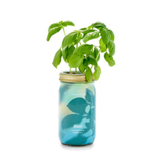 Load image into Gallery viewer, Garden Jars - Organic Herbs