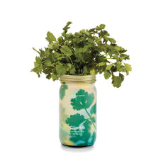 Load image into Gallery viewer, Garden Jars - Organic Herbs