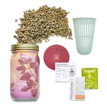 Load image into Gallery viewer, Garden Jars - Organic Herbs