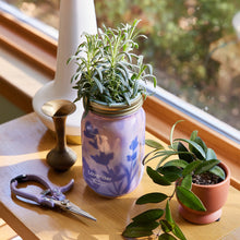 Load image into Gallery viewer, Garden Jars - Organic Herbs