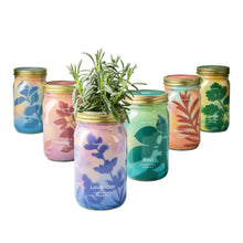 Load image into Gallery viewer, Garden Jars - Organic Herbs