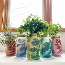 Load image into Gallery viewer, Garden Jars - Organic Herbs