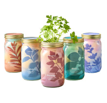 Load image into Gallery viewer, Garden Jars - Organic Herbs