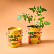 Load image into Gallery viewer, Complimentary Colors Grow Kits