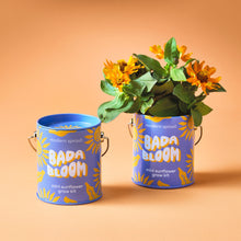 Load image into Gallery viewer, Complimentary Colors Grow Kits