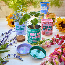Load image into Gallery viewer, Complimentary Colors Grow Kits