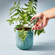 Load image into Gallery viewer, Gardening Shears & Pruners
