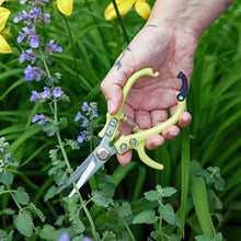 Load image into Gallery viewer, Gardening Shears & Pruners