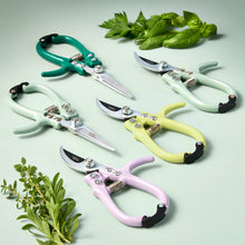 Load image into Gallery viewer, Gardening Shears & Pruners