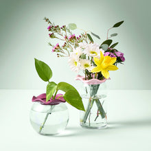 Load image into Gallery viewer, Botanical Keepers, 2pk