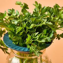 Load image into Gallery viewer, Produce Keepers, 2pk