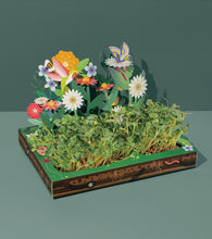 Load image into Gallery viewer, Microgreens Pop-Up Kit