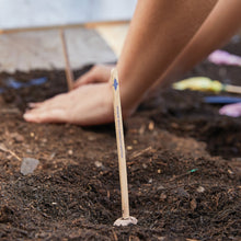 Load image into Gallery viewer, Seed Pops - Garden