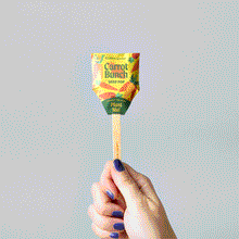 Load image into Gallery viewer, Seed Pops - Garden