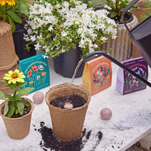 Load image into Gallery viewer, Bespoke Blooms Seed Balls