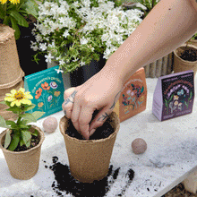 Load image into Gallery viewer, Bespoke Blooms Seed Balls