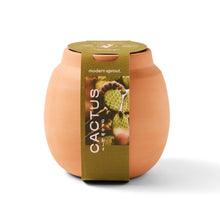 Load image into Gallery viewer, Modern Terracotta Grow Kits