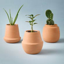 Load image into Gallery viewer, Modern Terracotta Grow Kits