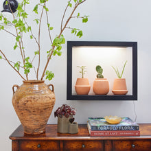 Load image into Gallery viewer, Modern Terracotta Grow Kits