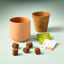 Load image into Gallery viewer, Tiny Terracotta Garden Kits