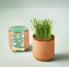 Load image into Gallery viewer, Pet Tiny Terracotta Grow Kits