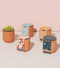 Load image into Gallery viewer, Tiny Terracotta Kits