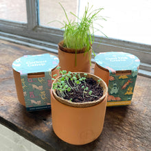 Load image into Gallery viewer, Pet Tiny Terracotta Grow Kits
