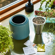 Load image into Gallery viewer, Flower Grow Kits