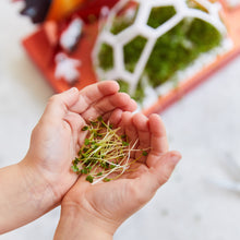 Load image into Gallery viewer, Microgreens Pop-Up Kit