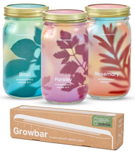 Load image into Gallery viewer, Garden Jars - Organic Herbs