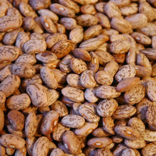 Load image into Gallery viewer, Pinto Bean Seeds (Organic)