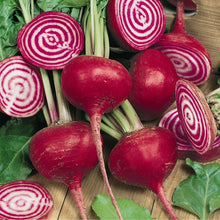 Load image into Gallery viewer, Chioggia Beet Seeds (Organic)