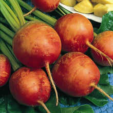 Load image into Gallery viewer, Golden Detroit Beet Seeds (Organic)